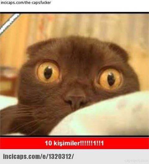 10 kişimiler!!!!!!1''1