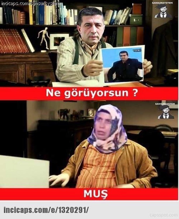 - Ne görüyorsun?
+ Muş