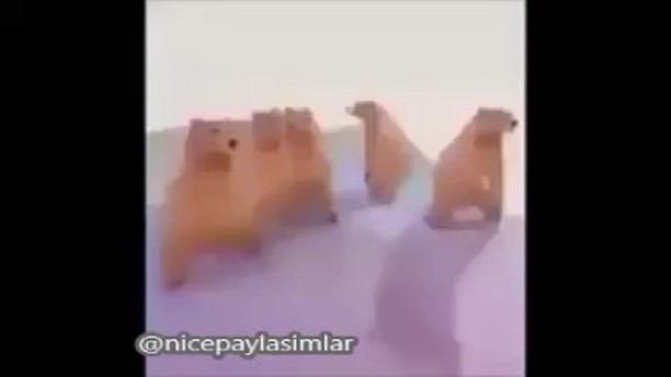 @nicepaylasimlar