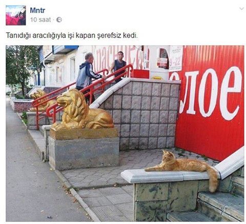 Tanıdığı aracılığıyla işi...