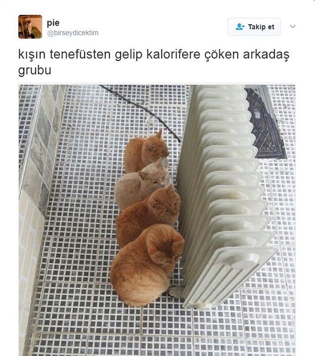 Kışın tenefüsten gelip...
