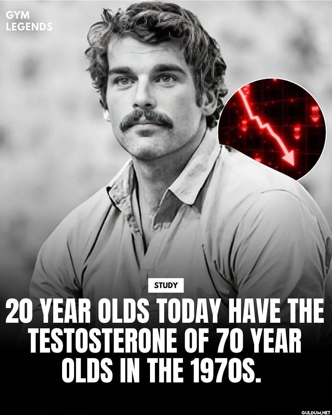 🤔    GYM LEGENDS STUDY 20...