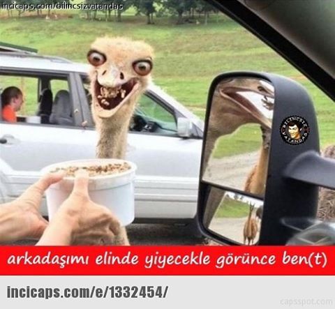 CSI
arkadaşımi elinde...