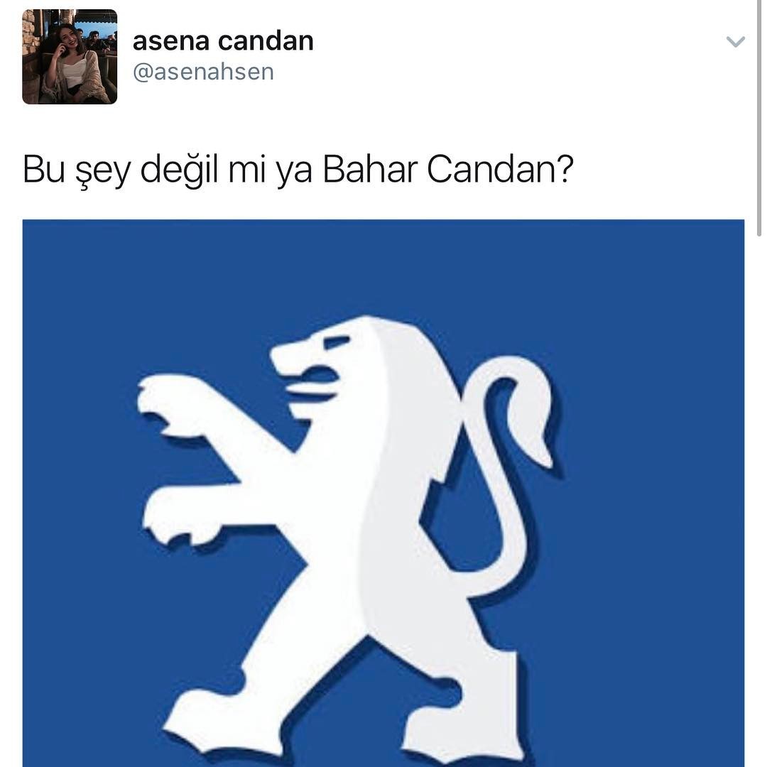 Bu şey değil mi ya Bahar Candan
