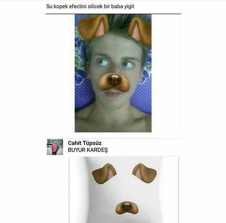 - Şu köpek efektini...