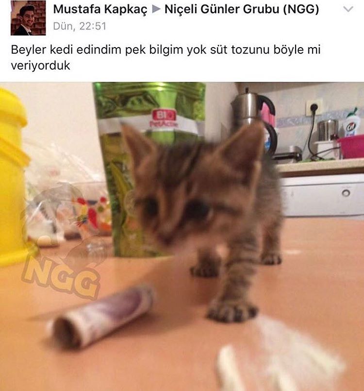 Mustafa Kapkaç Niçeli...