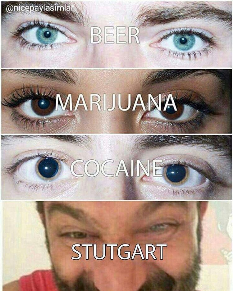anicepaylasimia
MARIJUANA
STUTGART