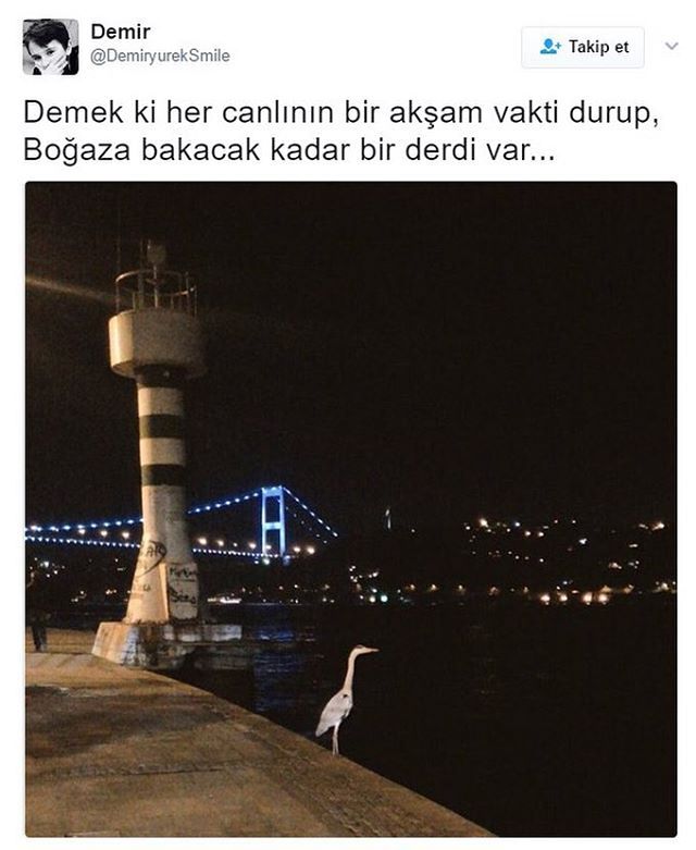 Demir
@DemiryurekSmile
Taki...