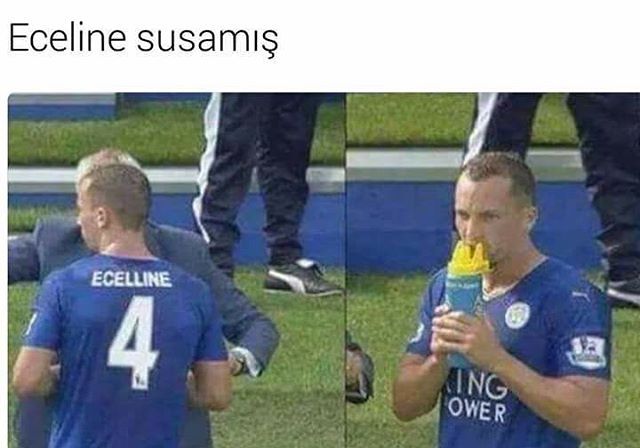 Eceline susamiş
ECELLINE
ING
OWER
