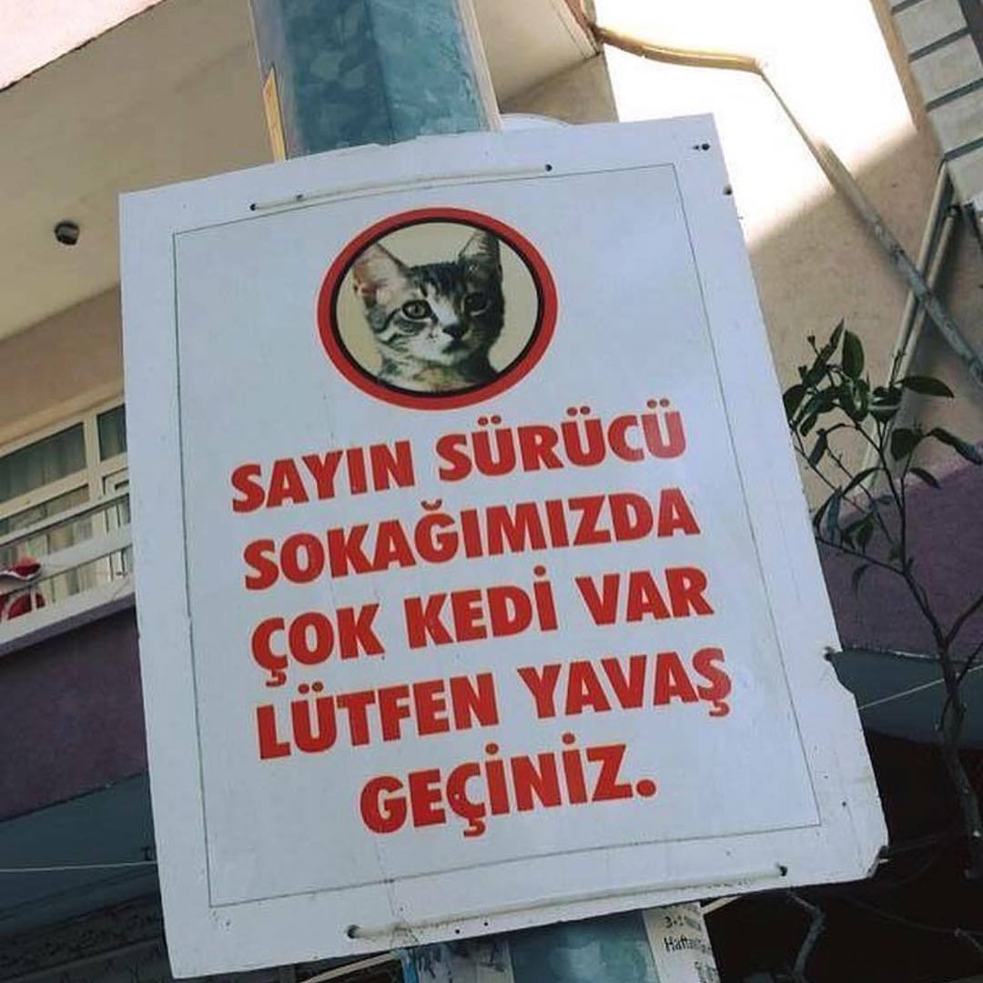 SAYIN...