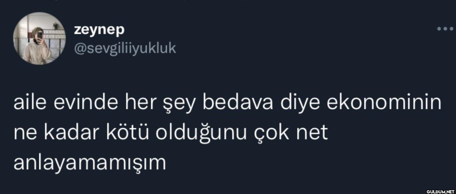 aile evinde her şey bedava...