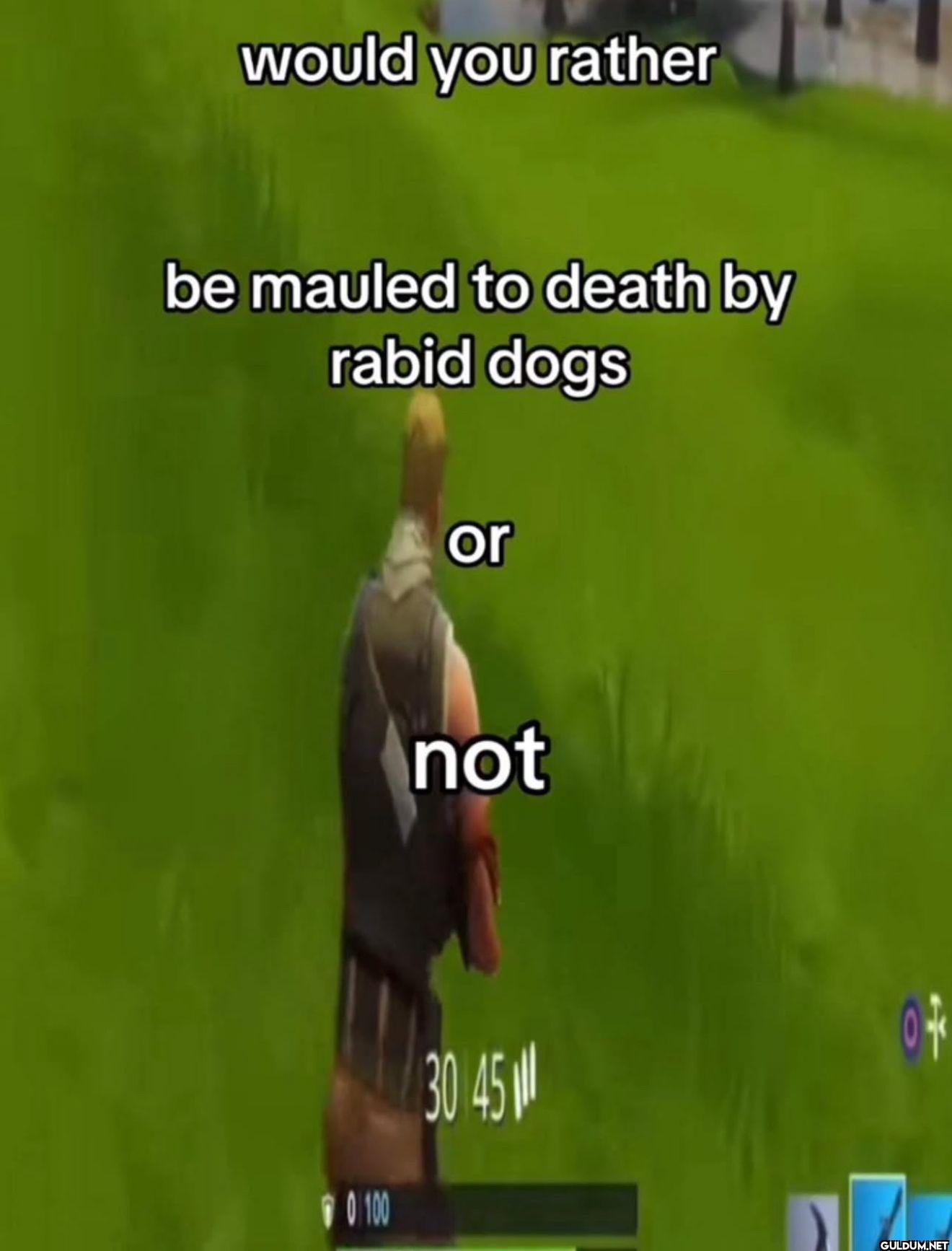 would you rather be mauled...