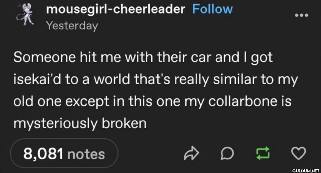 mousegirl-cheerleader...