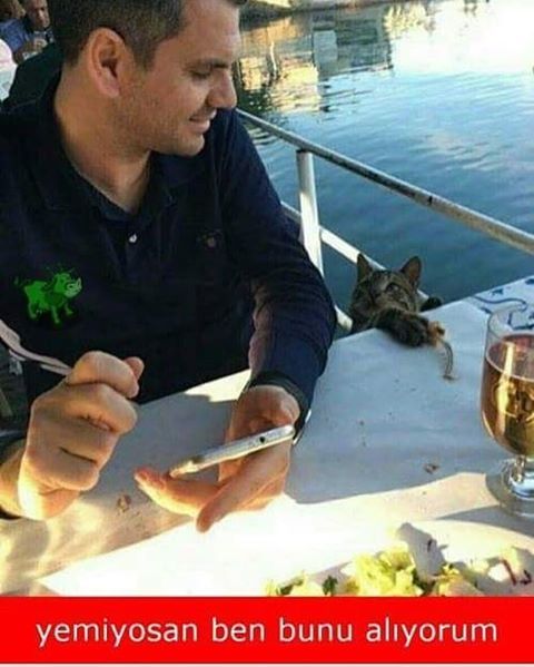 yemiyosan ben bunu alıyorum
