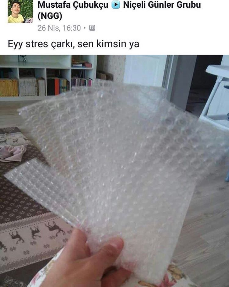 Mustafa Çubukçu
(NGG)
26...