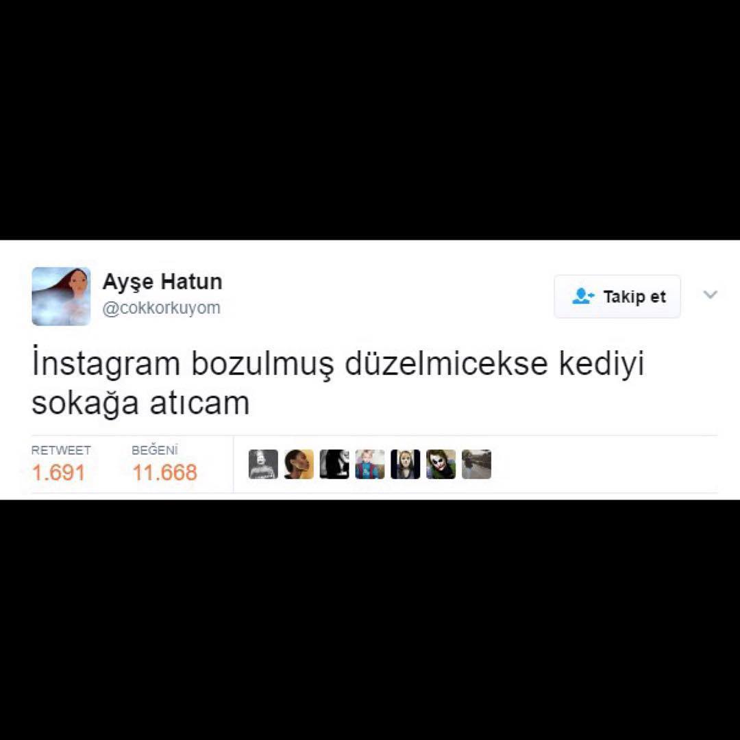 Ayse Hatun
@cokkorkuyom
-...