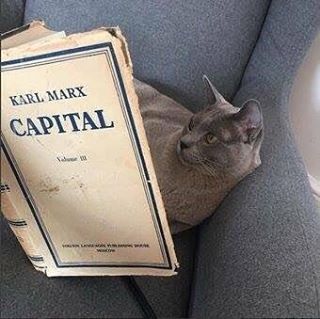 KARL MARX
CAPITAL