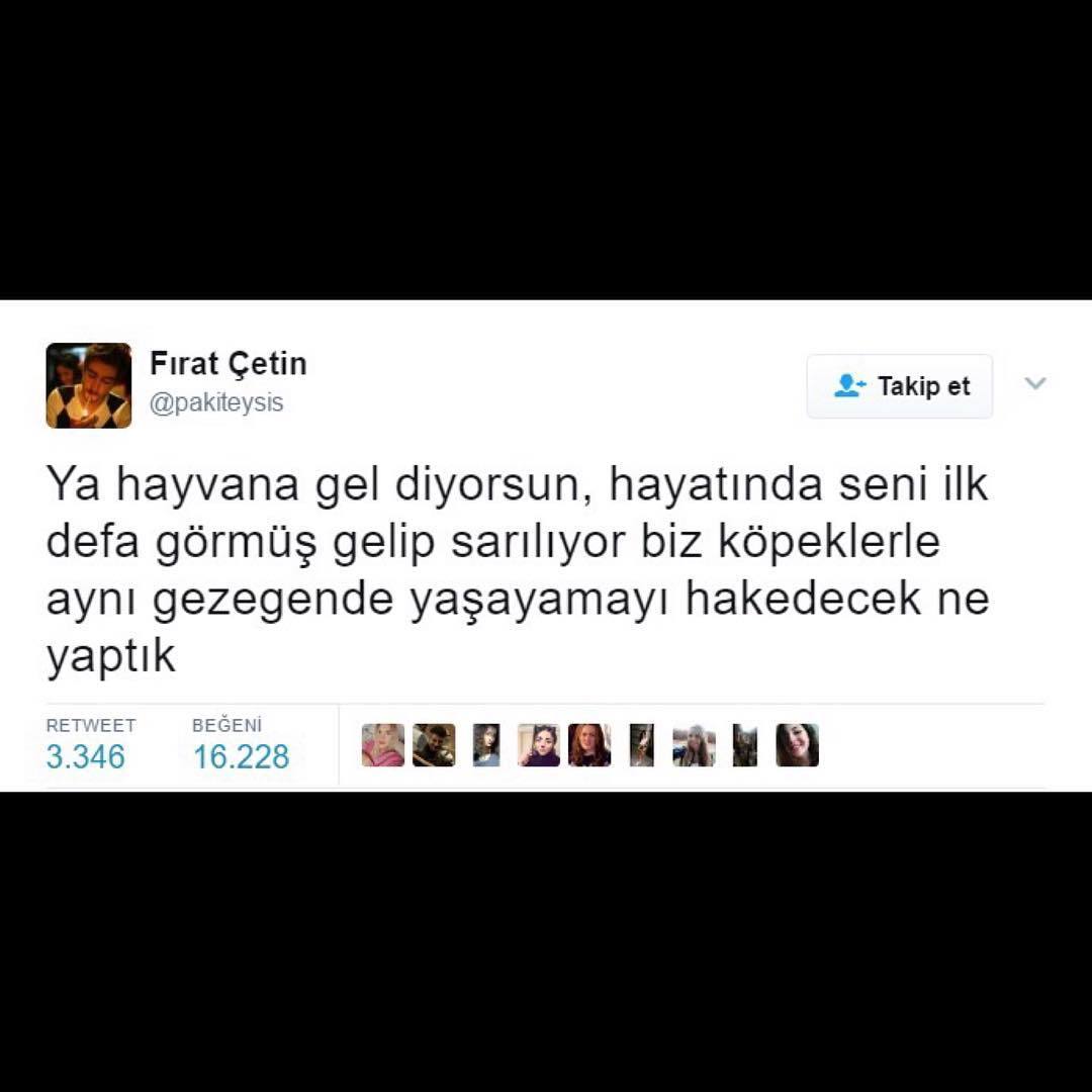 Firat...