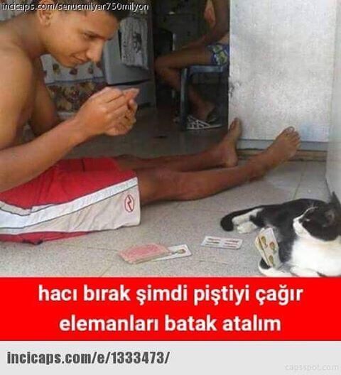 incicaps.comisenucnilyar750...
