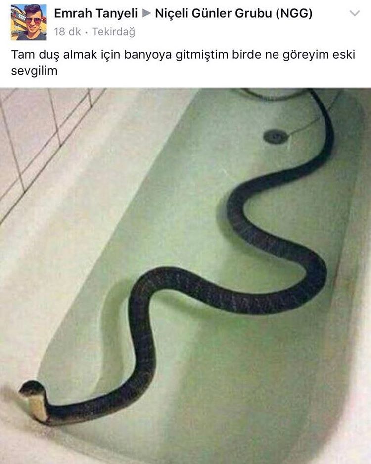 Emrah Tanyeli
18 dk ....