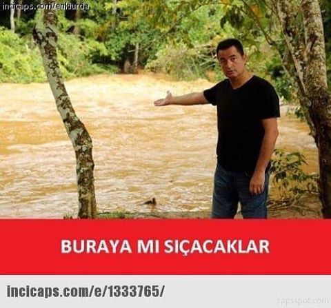 Buraya mı sıçacaklar