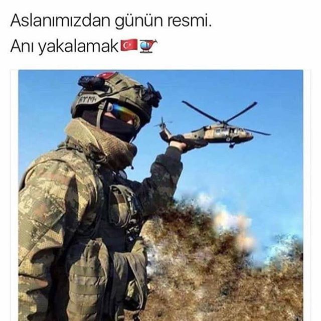 Aslanımızdan günün...
