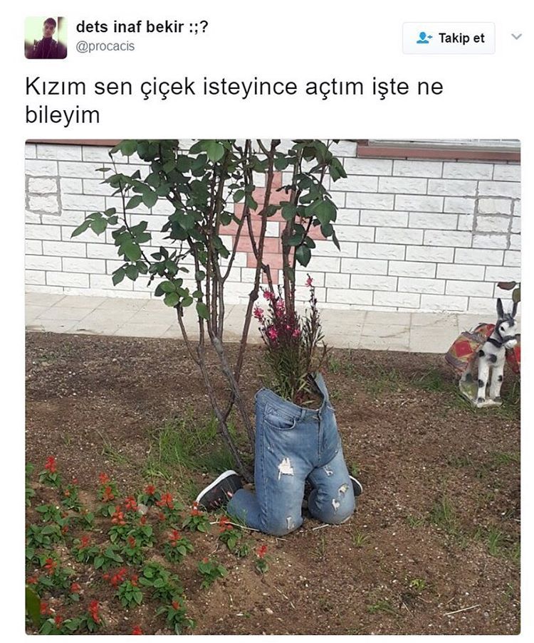 dets inaf...