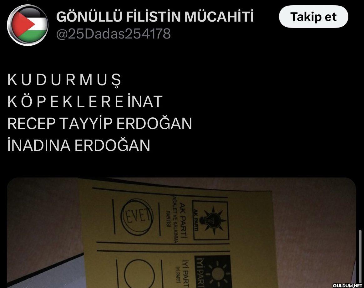 Sizce tivitin başlığı ne...