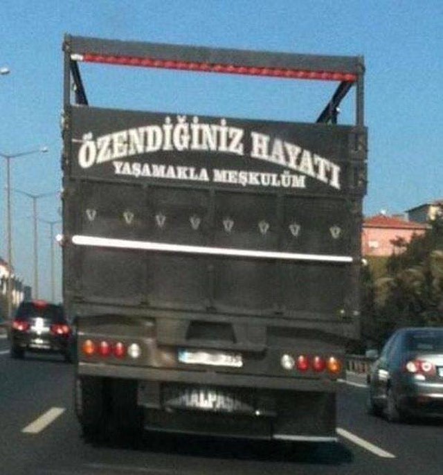 İĞİNIZ HAYATI
IIL