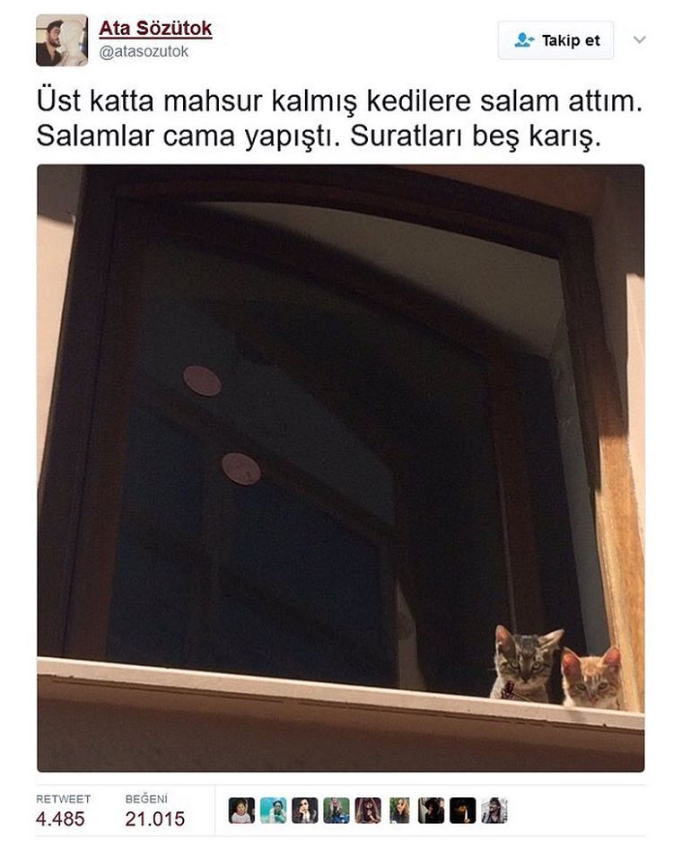 Ata...