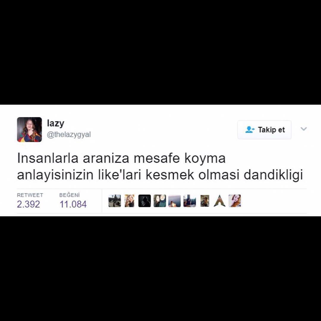 azy
Takip...