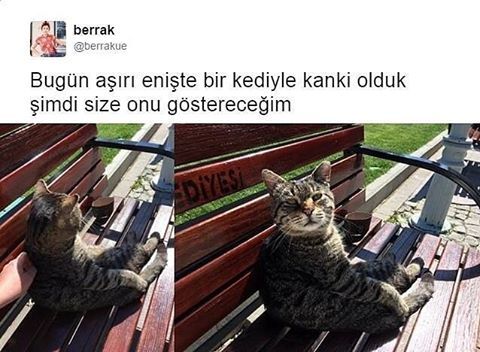 Bugün aşırı enişte bir...