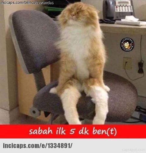 Sabah ilk 5dk ben
