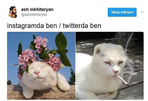 İnstagramda ben / Twitterda ben