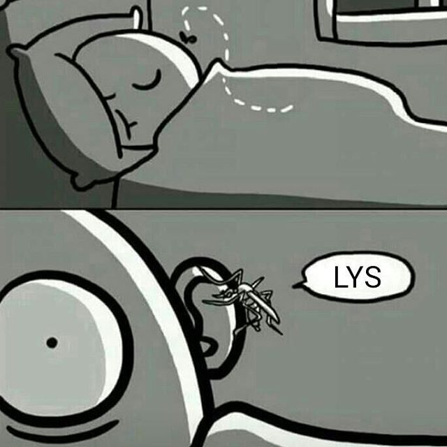 LYS