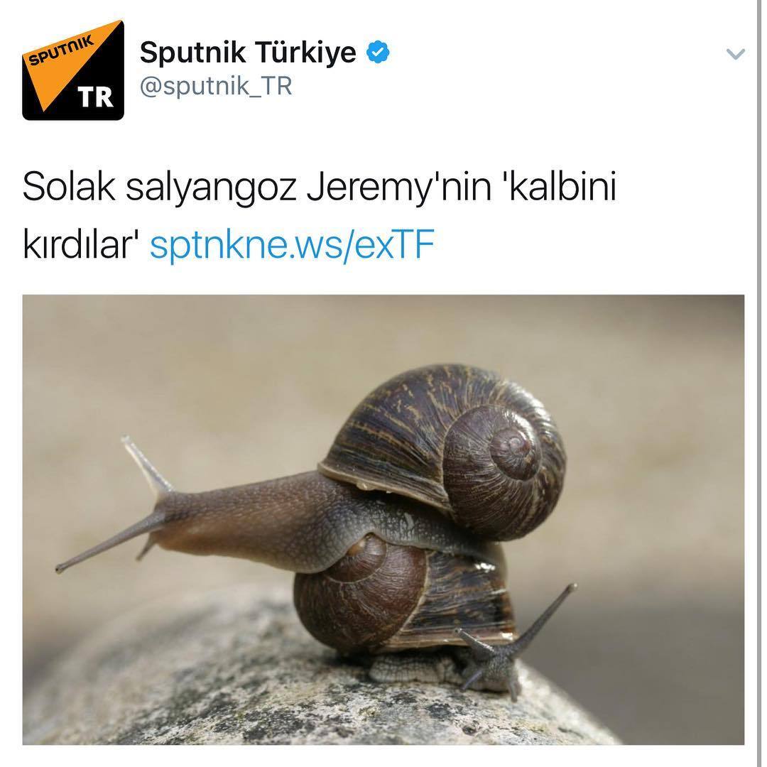 Solak salyangoz Jeremy'nin...