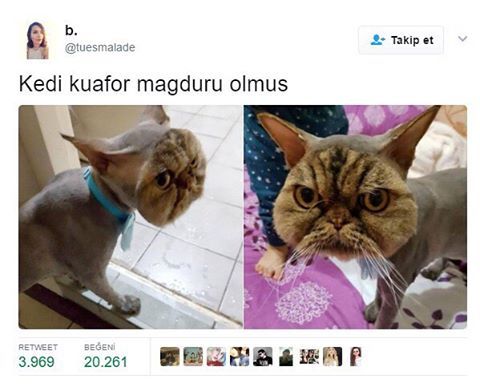 b.
@tuesmalade
Takip...