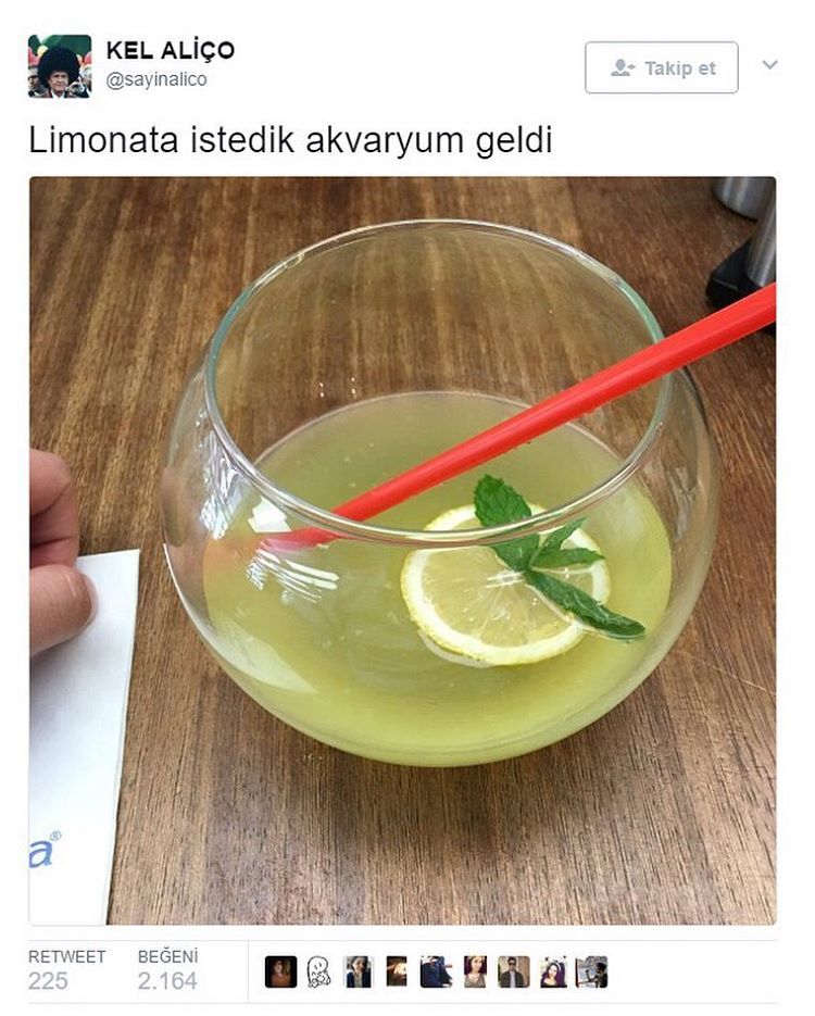 KEL ALİÇO
ǐ...