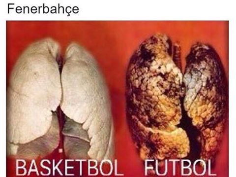 fenerbahçe

BASKETBOL FUTBOL
