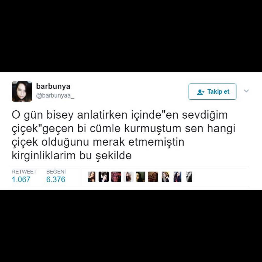 barbunya
@barbunyaa
Takip...