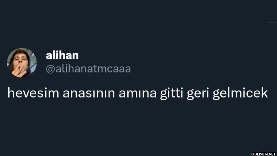 hevesim anasının amına...