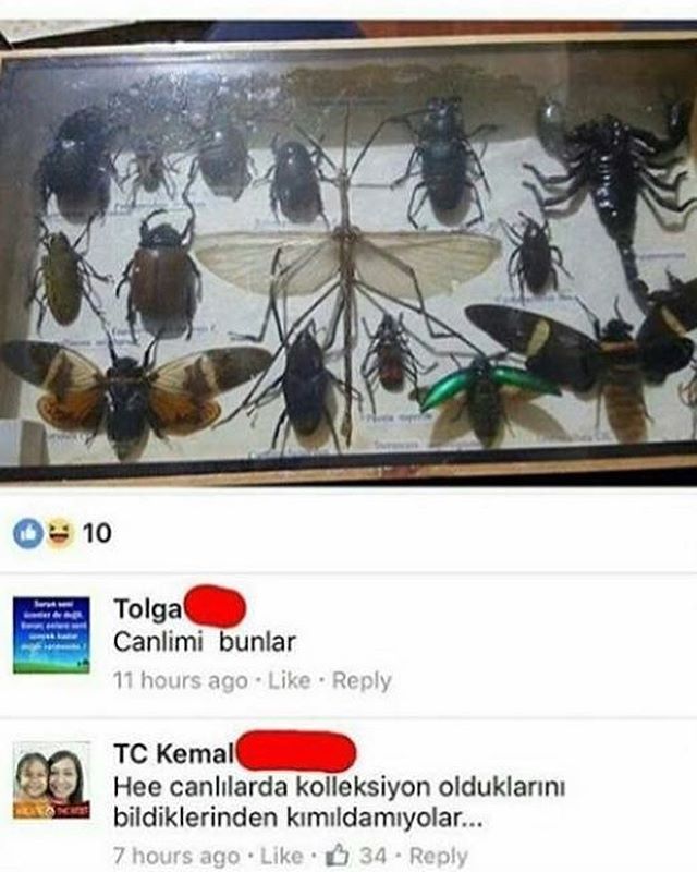 0 10
Tolga
Canlimi...