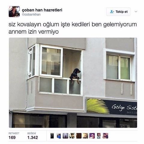 çoban han...
