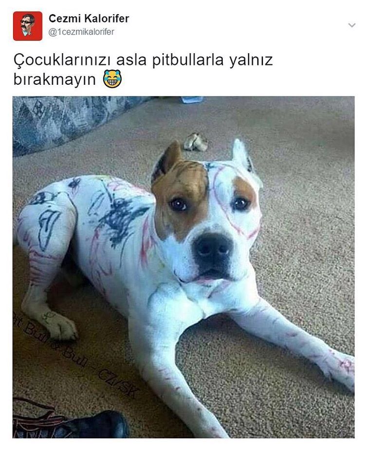 Cezmi...