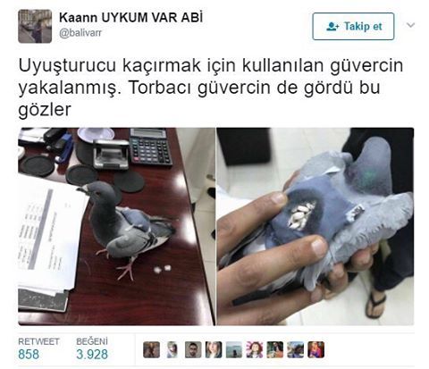 Uyuşturucu kaçırmak için...