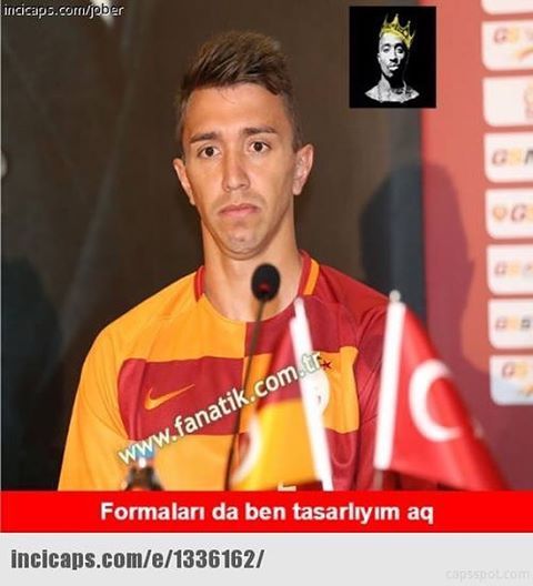 ncicaaps.cormmdiper
.fanati...