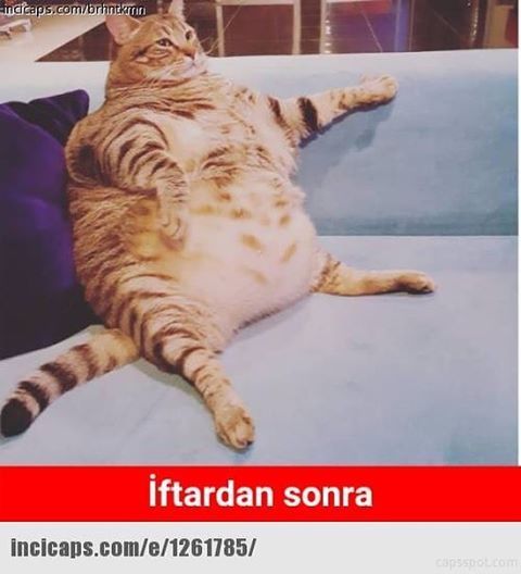 İftardan...