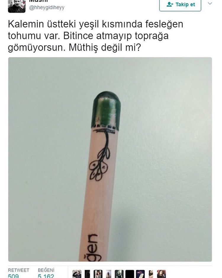 Kalemin üstteki yeşil...