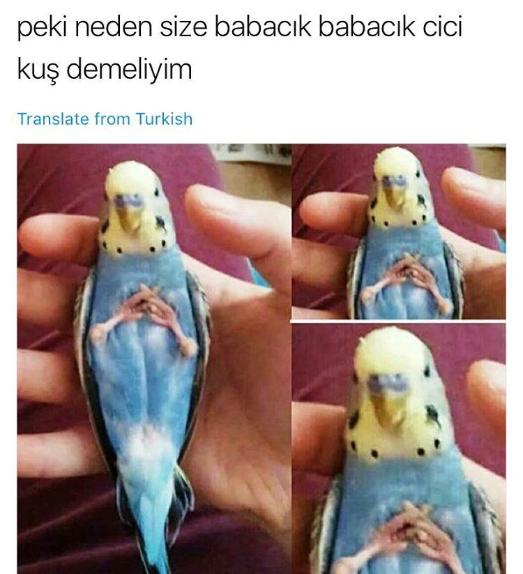 peki neden size babacık...