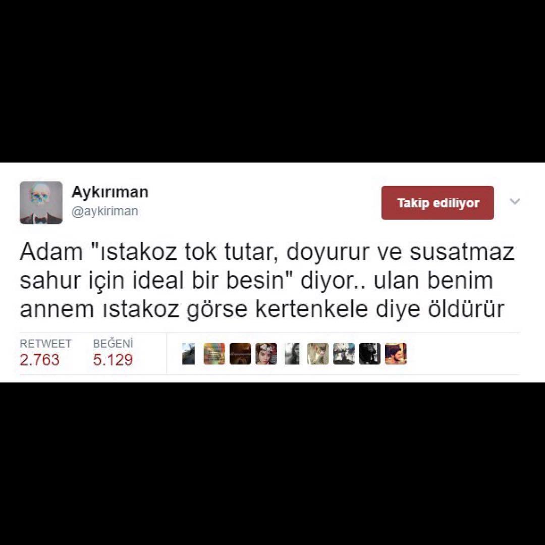 Adam, İstakoz tok tutar,...